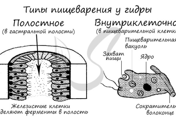 Кракен это наркозависимость